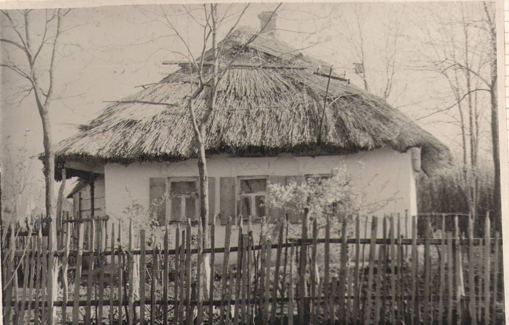 Первая школа